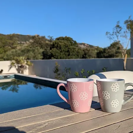 Avec Piscine - 160m2 - 4 A Calvi Hébergement de vacances